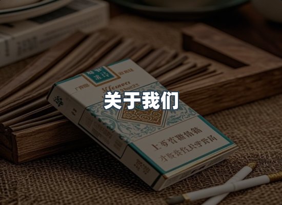 关于我们